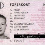 Buy Norway Drivers License Online