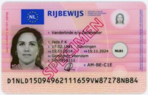 drivers license online